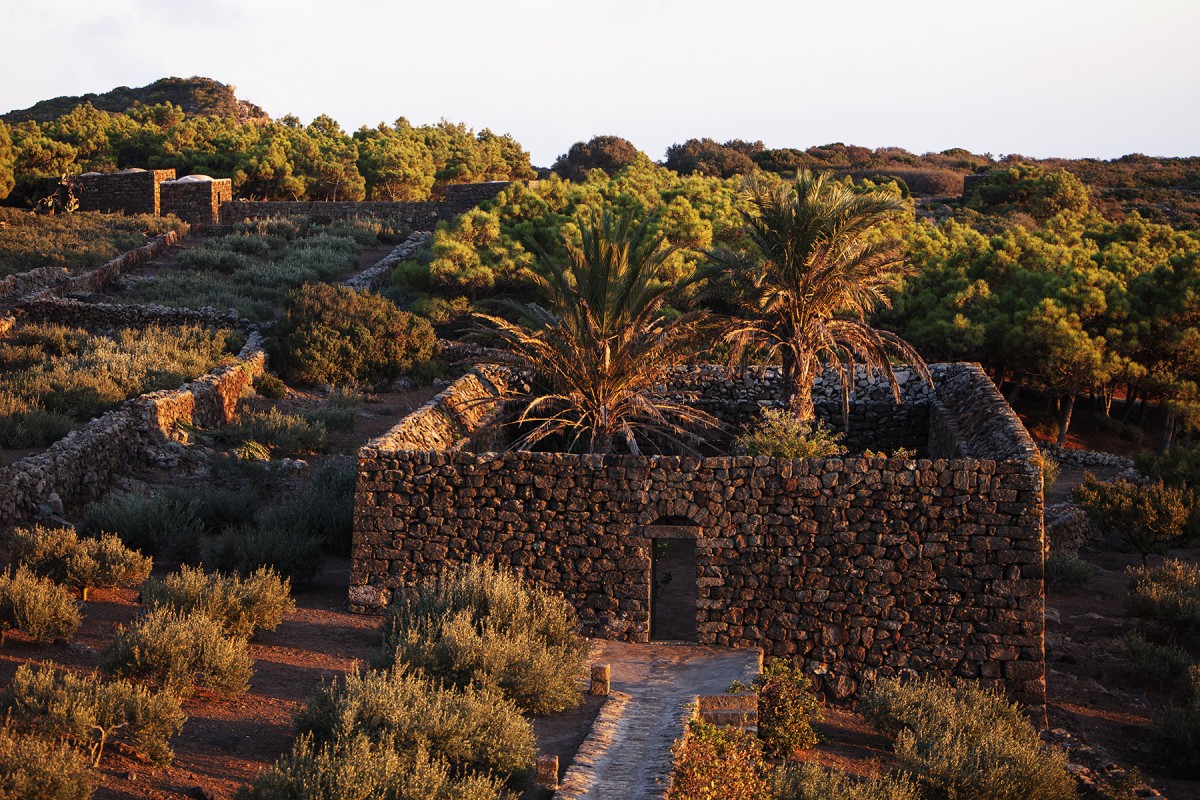 TENUTA BORGIA -  pantelleria-borgia-natura-verde_10