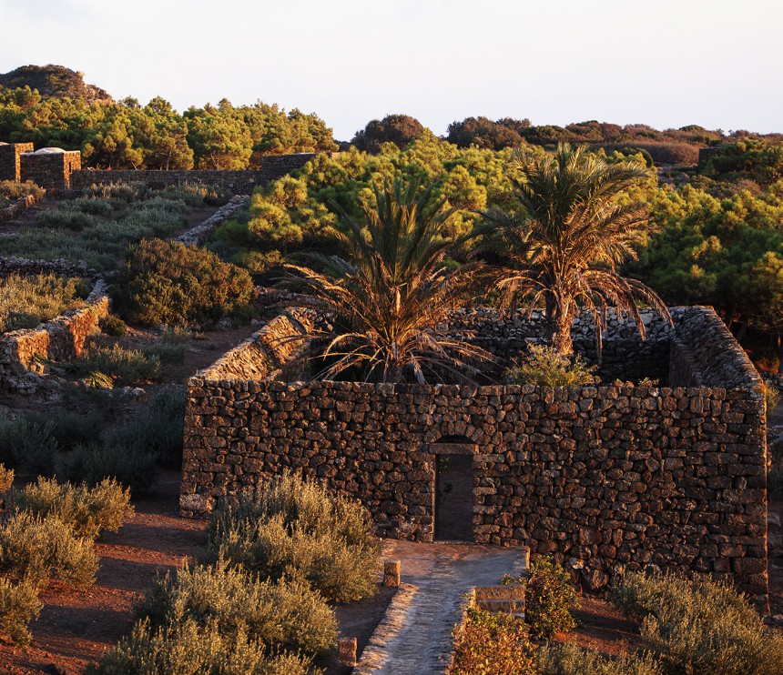 Tenuta Borgia - pantelleria-borgia-natura-verde_10