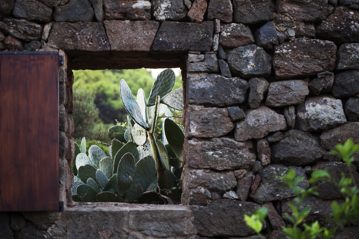 TENUTA BORGIA -  pantelleria-borgia-natura-verde_11