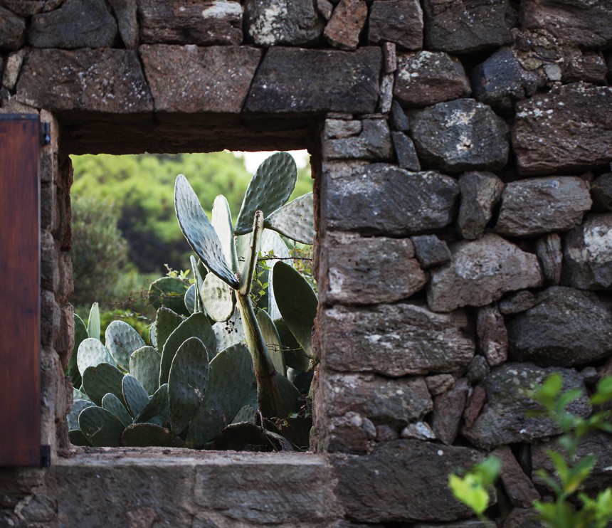 Tenuta Borgia - pantelleria-borgia-natura-verde_11