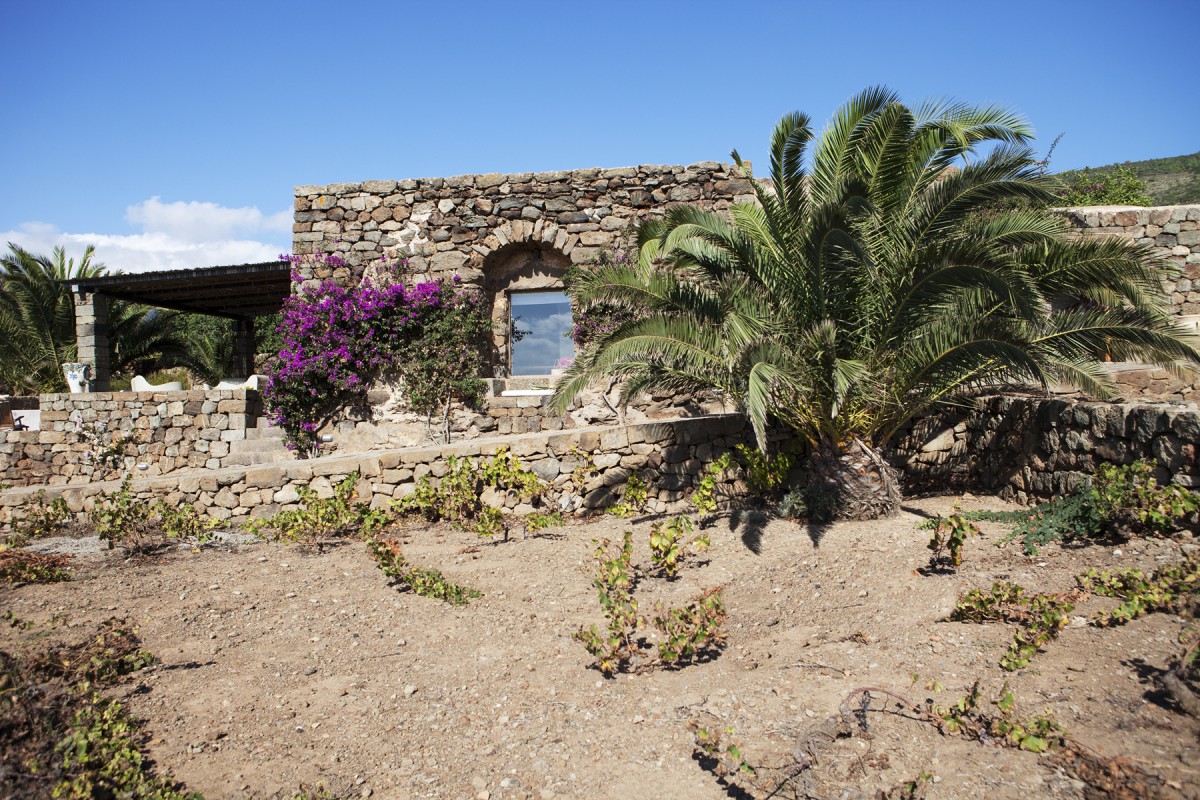 TENUTA BORGIA -  Dammuso Palmeto