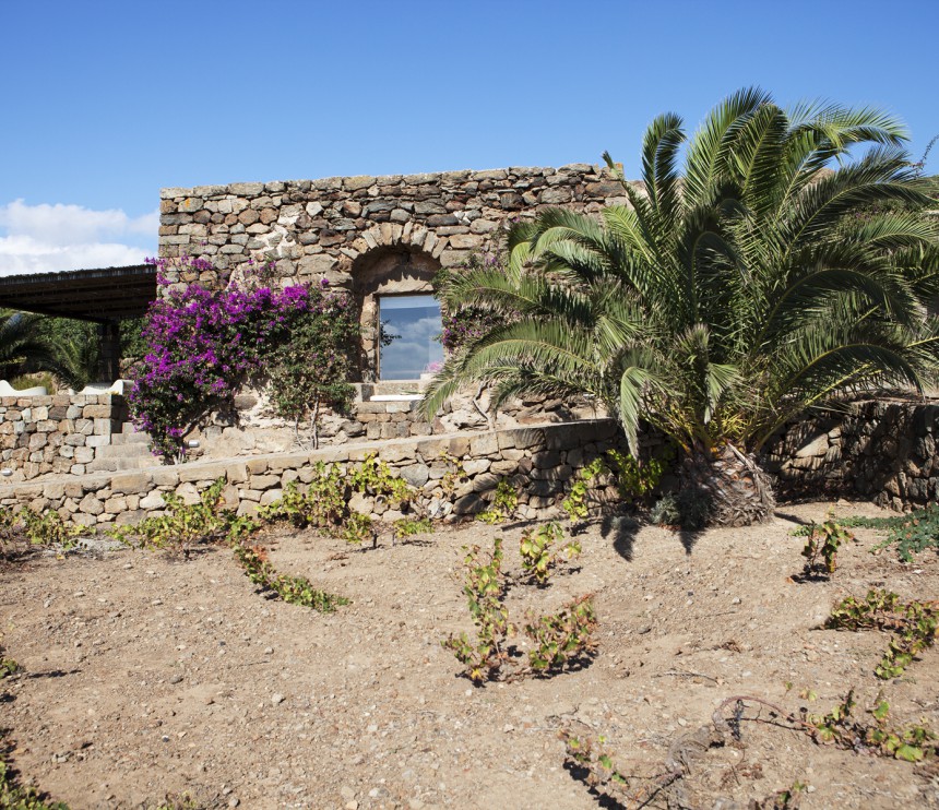 Tenuta Borgia - Dammuso Palmeto