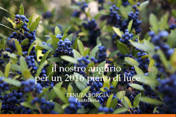 Tenuta Borgia - auguri